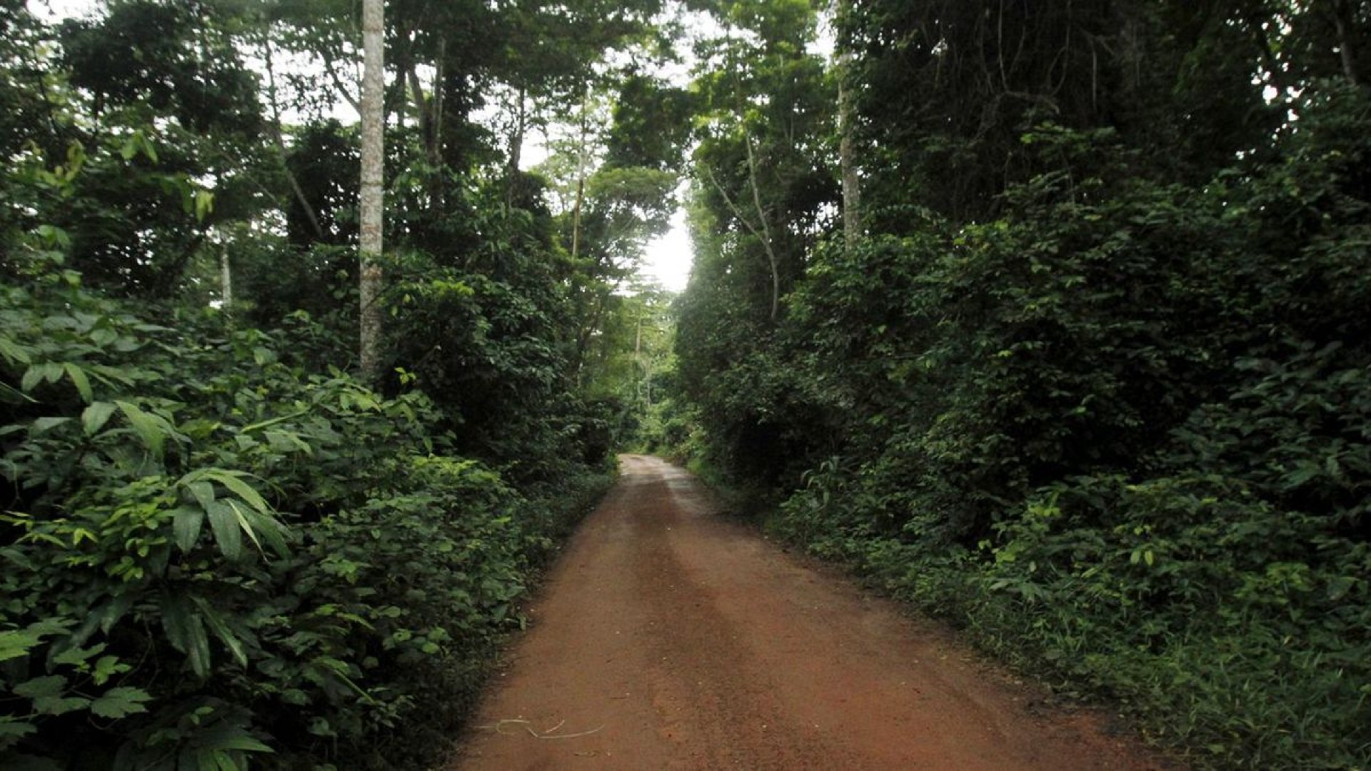 La résilience environnementale vue d’Abidjan